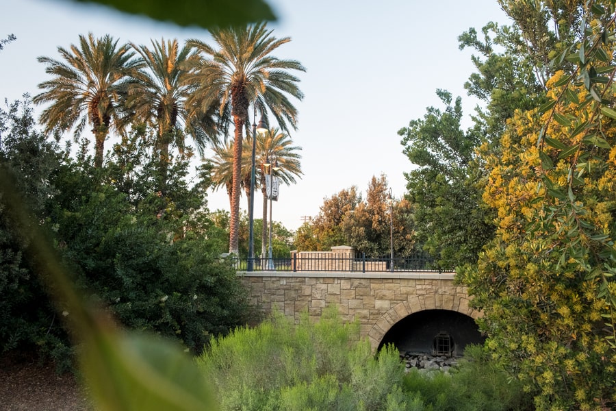 Walking bridge on the campus of California Baptist University surrounding by trees and other vegetation